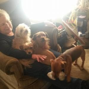 Meet your Posher, Maryln